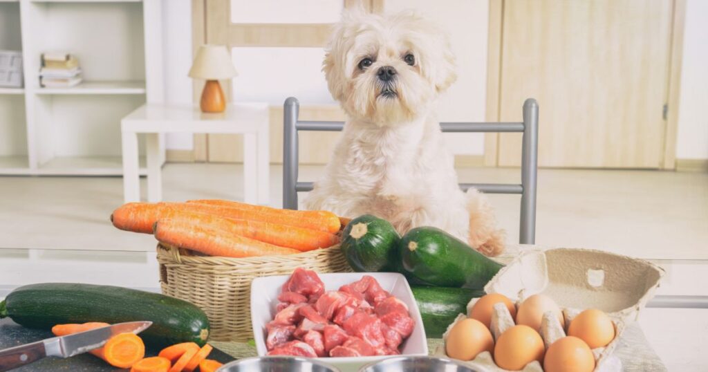 New Puppy Diet: Understanding Nutritional Needs and Creating a Balanced Meal Plan